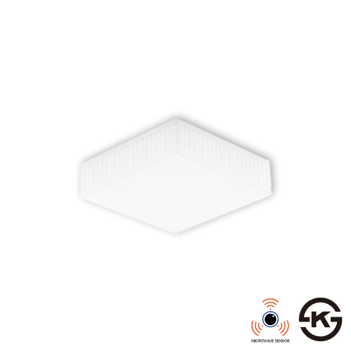 LED SENSOR LIGHT (SMART)
